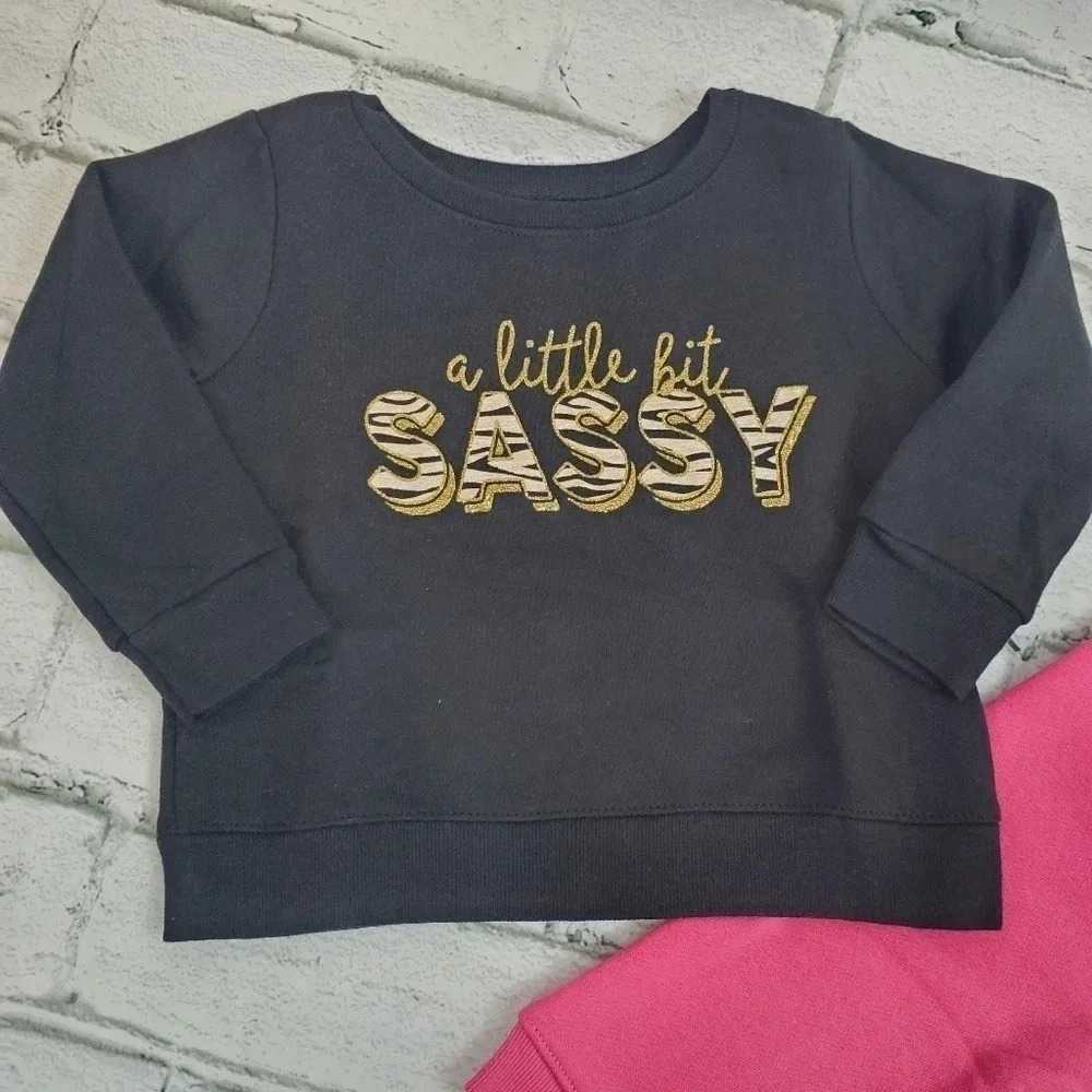 A little bit Sassy Girls Fleece Lined Sweatshirt and Sweatpants Matching Set - Picture 2 of 9